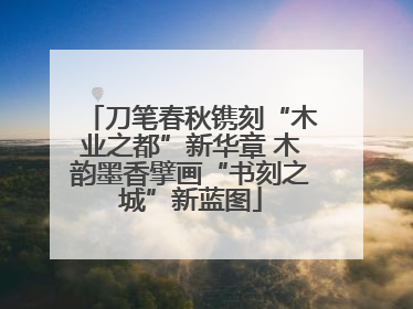 刀笔春秋镌刻“木业之都”新华章 木韵墨香擘画“书刻之城”新蓝图