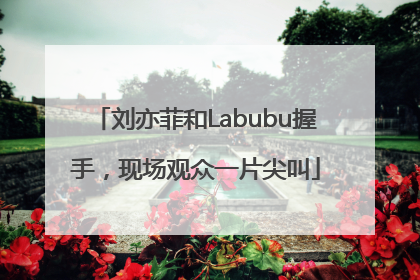 刘亦菲和Labubu握手，现场观众一片尖叫