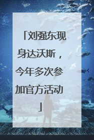 刘强东现身达沃斯，今年多次参加官方活动