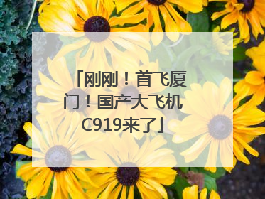 刚刚！首飞厦门！国产大飞机C919来了