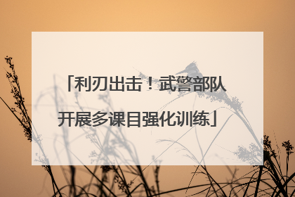利刃出击！武警部队开展多课目强化训练