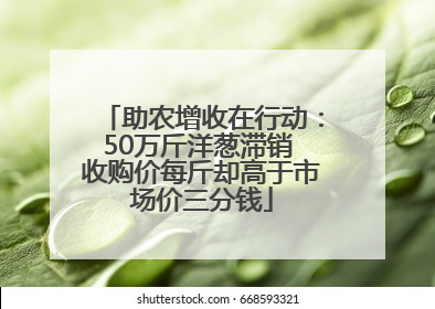助农增收在行动：50万斤洋葱滞销 收购价每斤却高于市场价三分钱