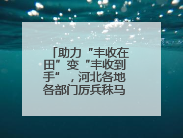 助力“丰收在田”变“丰收到手”，河北各地各部门厉兵秣马迎战“三夏”