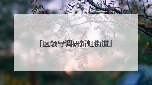区领导调研新虹街道