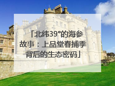 北纬39°的海参故事：上品堂春捕季背后的生态密码