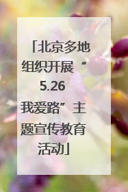 北京多地组织开展“5.26 我爱路”主题宣传教育活动