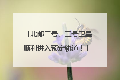 北邮二号、三号卫星顺利进入预定轨道！