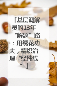 基层调解员的13年“解题”路：用绣花功夫，精织治理“经纬线”