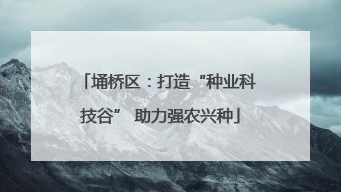 埇桥区：打造“种业科技谷” 助力强农兴种