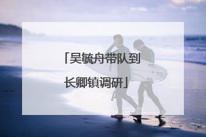吴毓舟带队到长卿镇调研