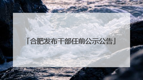 合肥发布干部任前公示公告
