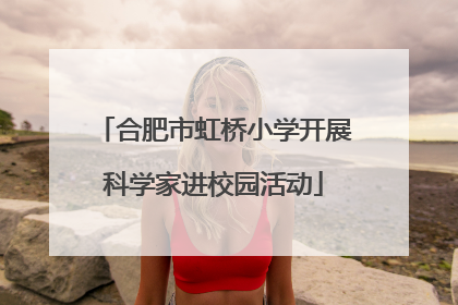 合肥市虹桥小学开展科学家进校园活动