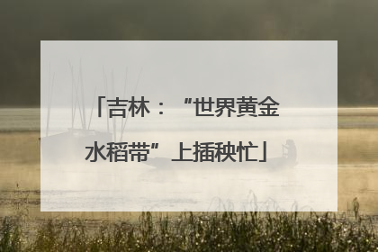 吉林：“世界黄金水稻带”上插秧忙
