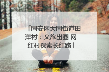 同安区大同街道田洋村：文旅出圈 网红村探索长红路