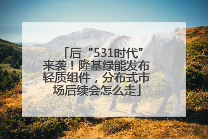 后“531时代”来袭！隆基绿能发布轻质组件，分布式市场后续会怎么走