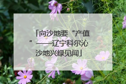 向沙地要“产值”——辽宁科尔沁沙地兴绿见闻