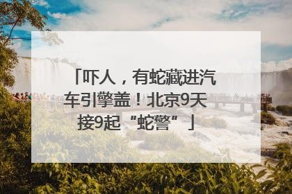 吓人，有蛇藏进汽车引擎盖！北京9天接9起“蛇警”