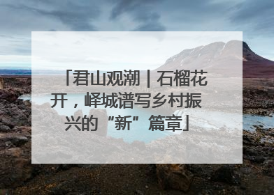 君山观潮｜石榴花开，峄城谱写乡村振兴的“新”篇章