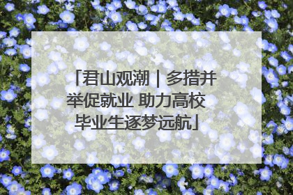 君山观潮｜多措并举促就业 助力高校毕业生逐梦远航