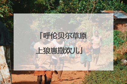 呼伦贝尔草原上狼崽撒欢儿