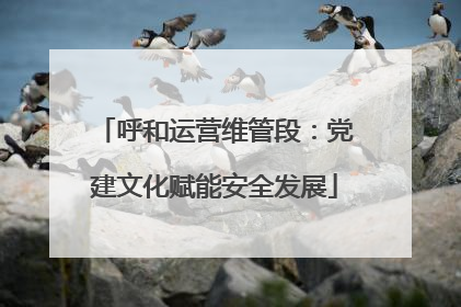 呼和运营维管段：党建文化赋能安全发展