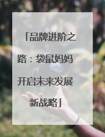 品牌进阶之路：袋鼠妈妈开启未来发展新战略