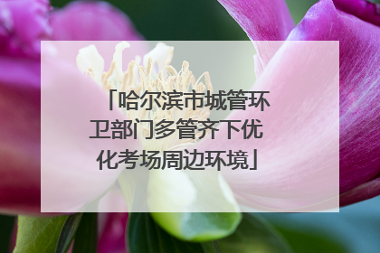 哈尔滨市城管环卫部门多管齐下优化考场周边环境