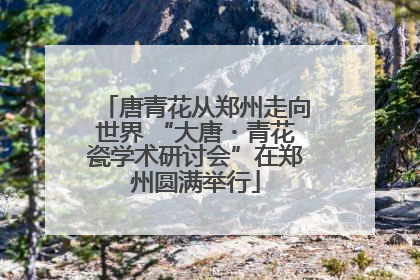 唐青花从郑州走向世界 “大唐・青花瓷学术研讨会”在郑州圆满举行
