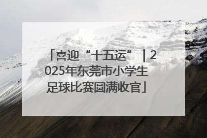 喜迎“十五运”｜2025年东莞市小学生足球比赛圆满收官