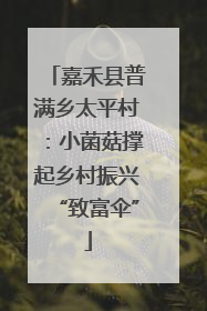 嘉禾县普满乡太平村：小菌菇撑起乡村振兴“致富伞”