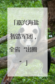 嘉兴海盐智造军团，全省“出圈”