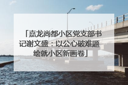 嘉龙尚都小区党支部书记谢文盛:以公心破难题 绘就小区新画卷