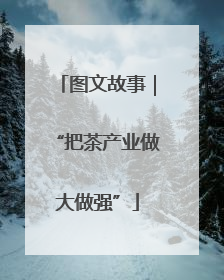 图文故事｜“把茶产业做大做强”