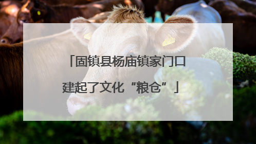固镇县杨庙镇家门口建起了文化“粮仓”