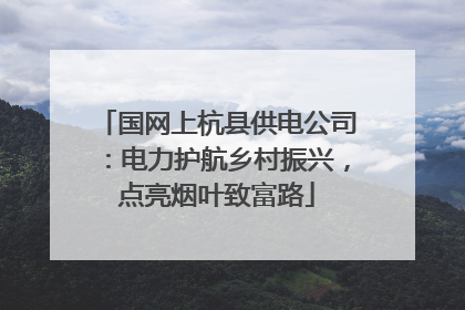 国网上杭县供电公司：电力护航乡村振兴，点亮烟叶致富路