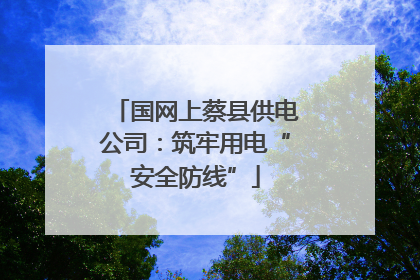 国网上蔡县供电公司：筑牢用电“安全防线”