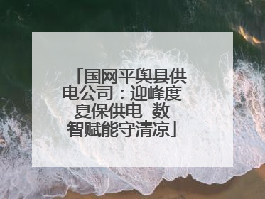 国网平舆县供电公司：迎峰度夏保供电  数智赋能守清凉