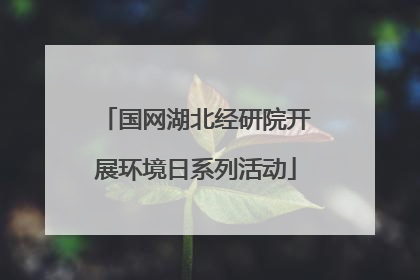 国网湖北经研院开展环境日系列活动
