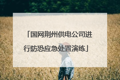 国网荆州供电公司进行防恐应急处置演练