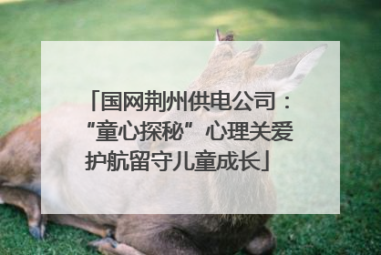 国网荆州供电公司：“童心探秘”心理关爱护航留守儿童成长