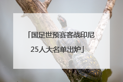 国足世预赛客战印尼25人大名单出炉
