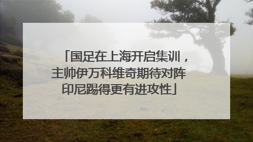 国足在上海开启集训，主帅伊万科维奇期待对阵印尼踢得更有进攻性