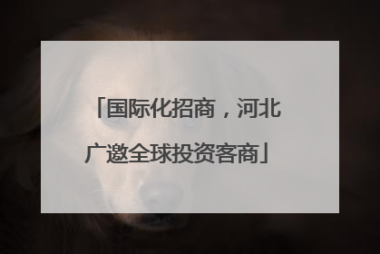 国际化招商，河北广邀全球投资客商