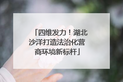四维发力！湖北沙洋打造法治化营商环境新标杆