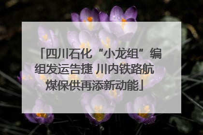 四川石化“小龙组”编组发运告捷 川内铁路航煤保供再添新动能
