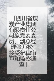 四川省煤炭产业集团有限责任公司原党委委员、副总经理张万松 接受纪律审查和监察调查