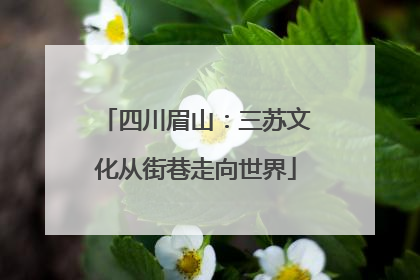 四川眉山：三苏文化从街巷走向世界