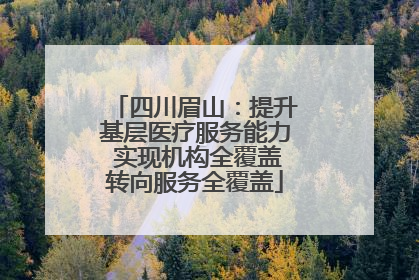 四川眉山：提升基层医疗服务能力 实现机构全覆盖转向服务全覆盖