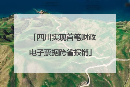 四川实现首笔财政电子票据跨省报销