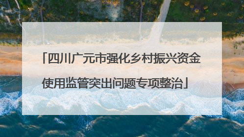 四川广元市强化乡村振兴资金使用监管突出问题专项整治